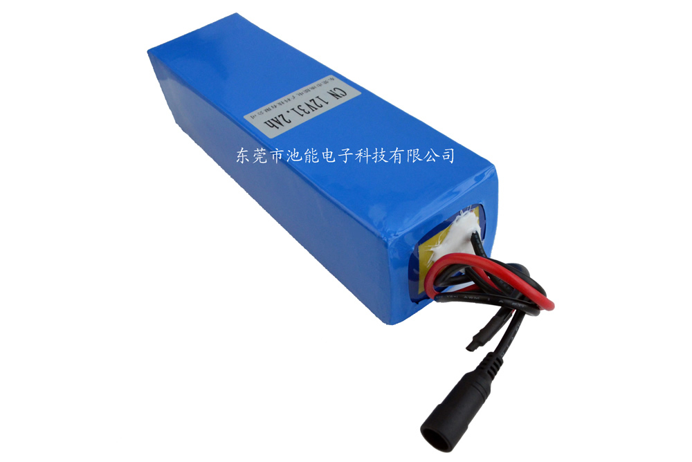 海洋检测仪器锂电池12V31200mAh 带防水插头