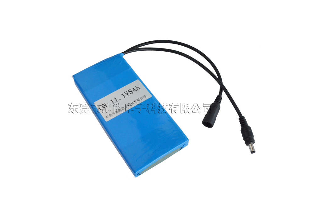 便携式仪器锂电池 8000mAh 12V